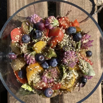 Unikalus Veganiskas Maistas Renginiams Img 0654