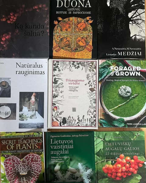Įkvepiančios Veganiškų Patiekalų Gaminimo Knygos Bei Kursai Pagal Laukiniška
