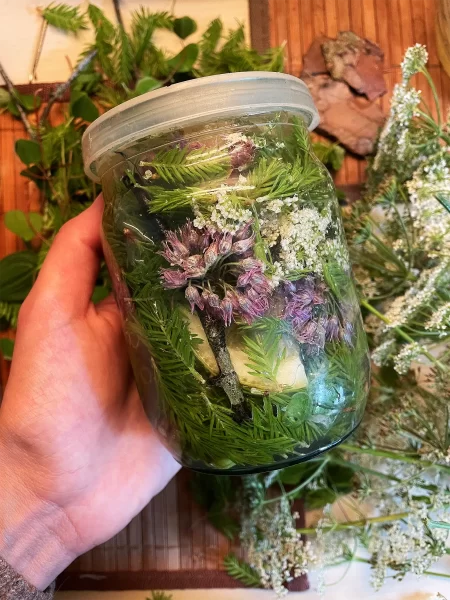 Laukinių Augalų Rauginimas Pagal Laukiniška Veganiškų Patiekalų Gaminimas Renginiams